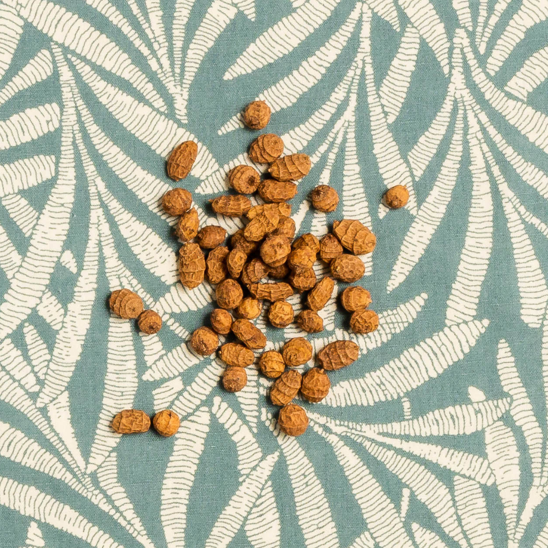 Tiger nuts and planet earth… Everything you need to know before you become a tiger nut super fan!